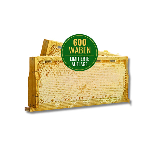 Deutschen Bienenwabe im Rähmchen, 2 kg, von der Allgäuer Wanderimkerei, limitierte Auflage