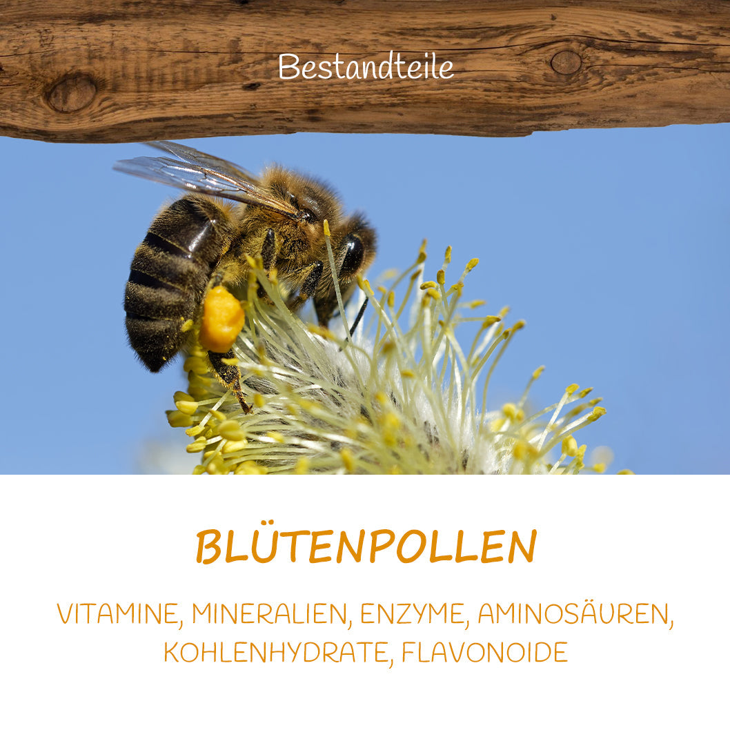 Deutscher Blütenpollen (getrocknet) 250g